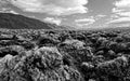 Landscape of Devil's Golf Course, Death Valley National Park, California in black and white Royalty Free Stock Photo