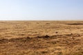Landscape of Dide Galgalu desert., Ken Royalty Free Stock Photo