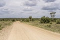 dirt road bending in Kruger park wild countryside, South Africa