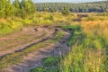landscape with dirt road field and forest Royalty Free Stock Photo