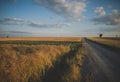 dirt road through field