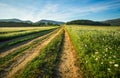 Landscape with dirt road between meadow in the spring. Agricultural, fields Royalty Free Stock Photo