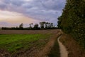 Landscape with a dirt road in the middle of the field. Royalty Free Stock Photo