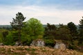 Landscape doline rocks wood nature Fondry des Chiens, Nismes, Viroinval, Belgium Royalty Free Stock Photo