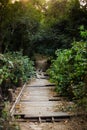 Landscape of Don Khone Laos