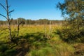 Landscape in the Dosenmoor