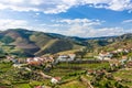 Landscape of the Douro river regionin Portugal -  Vineyards Royalty Free Stock Photo