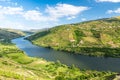 Landscape of the Douro river regionin Portugal -  Vineyards Royalty Free Stock Photo