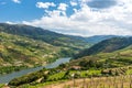 Landscape of the Douro river regionin Portugal -  Vineyards Royalty Free Stock Photo