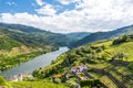 Landscape of the Douro river regionin Portugal -  Vineyards Royalty Free Stock Photo