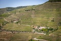 Landscape in Douro Valley Royalty Free Stock Photo