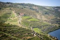 Landscape in Douro Valley Royalty Free Stock Photo