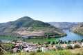 Landscape of Douro vineyards, Portugal Royalty Free Stock Photo