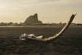 A landscape with driftwood on a beach with mountains in background Royalty Free Stock Photo