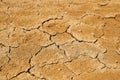Landscape - dry earth with mudcracks Royalty Free Stock Photo