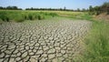 Landscape of dry cracked mud and survived grass Royalty Free Stock Photo