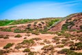Dry cracked takir soil in semi-desert in Russia. Nature landscape Royalty Free Stock Photo