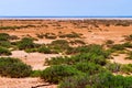 Dry cracked takir soil in semi-desert in Russia. Nature landscape Royalty Free Stock Photo