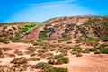 Dry cracked takir soil in semi-desert in Russia. Nature landscape
