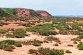 Dry cracked takir soil in semi-desert in Russia. Nature landscape