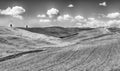 Landscape of dry fields in the countryside in Tuscany, Italy Royalty Free Stock Photo