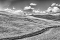 Landscape of dry fields in the countryside in Tuscany, Italy Royalty Free Stock Photo