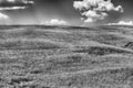 Landscape of dry fields in the countryside in Tuscany, Italy Royalty Free Stock Photo