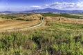 Landscape of dry fields in the countryside in Tuscany, Italy Royalty Free Stock Photo