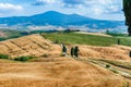 Landscape of dry fields in the countryside in Tuscany, Italy Royalty Free Stock Photo