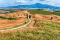 Landscape of dry fields in the countryside in Tuscany, Italy Royalty Free Stock Photo