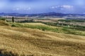 Landscape of dry fields in the countryside in Tuscany, Italy Royalty Free Stock Photo