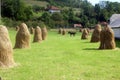 Landscape with dry haycock Royalty Free Stock Photo