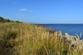 Landscape with dry herbs on the bank of Volga river, new bridge on the horizon and blue sky in september