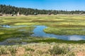 Landscape of Duck Creek Village, Utah Royalty Free Stock Photo