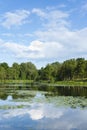 Landscape at Duinen van Oostvoorne Royalty Free Stock Photo