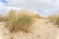 Landscape with dunes at the Dutch coast with blue sky with clouds, province of Zeeland Royalty Free Stock Photo