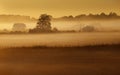 Landscape at an early hour of the day