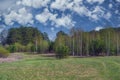 Landscape early spring trees with open leaves against the sky and white clouds Royalty Free Stock Photo