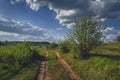 Landscape early spring trees with open leaves against the sky and white clouds Royalty Free Stock Photo