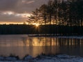 landscape with early sunrise by the lake, heaven sky, black tree silhouettes Royalty Free Stock Photo