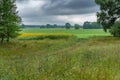 Landscape with an earth beside flowering sunflower agricultural fields Royalty Free Stock Photo