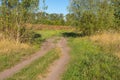 Landscape with earth road near sunflower fields in central Ukraine Royalty Free Stock Photo