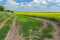 Landscape with earth roads on the edge of agricultural field Royalty Free Stock Photo