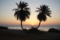 Date palms against the backdrop of sunrise over the Red Sea in the Gulf of Aqaba. Dahab, South Sinai Governorate, Egypt Royalty Free Stock Photo