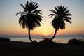 Date palms against the backdrop of sunrise over the Red Sea in the Gulf of Aqaba. Dahab, South Sinai Governorate, Egypt Royalty Free Stock Photo