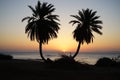 Date palms against the backdrop of sunrise over the Red Sea in the Gulf of Aqaba. Dahab, South Sinai Governorate, Egypt Royalty Free Stock Photo