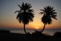 Date palms against the backdrop of sunrise over the Red Sea in the Gulf of Aqaba. Dahab, South Sinai Governorate, Egypt Royalty Free Stock Photo