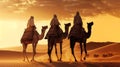 landscape. Egypt pyramids. Pyramids of Egypt and a bedouin with Camel caravan. sunset panorama