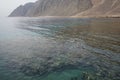 Top view of the coastal coral reef. A reef is a biogeological structure formed by living organisms. Dahab, Egypt