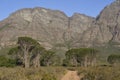 Landscape of Elandsberg Nature Reserve in the Western Cape, South Africa